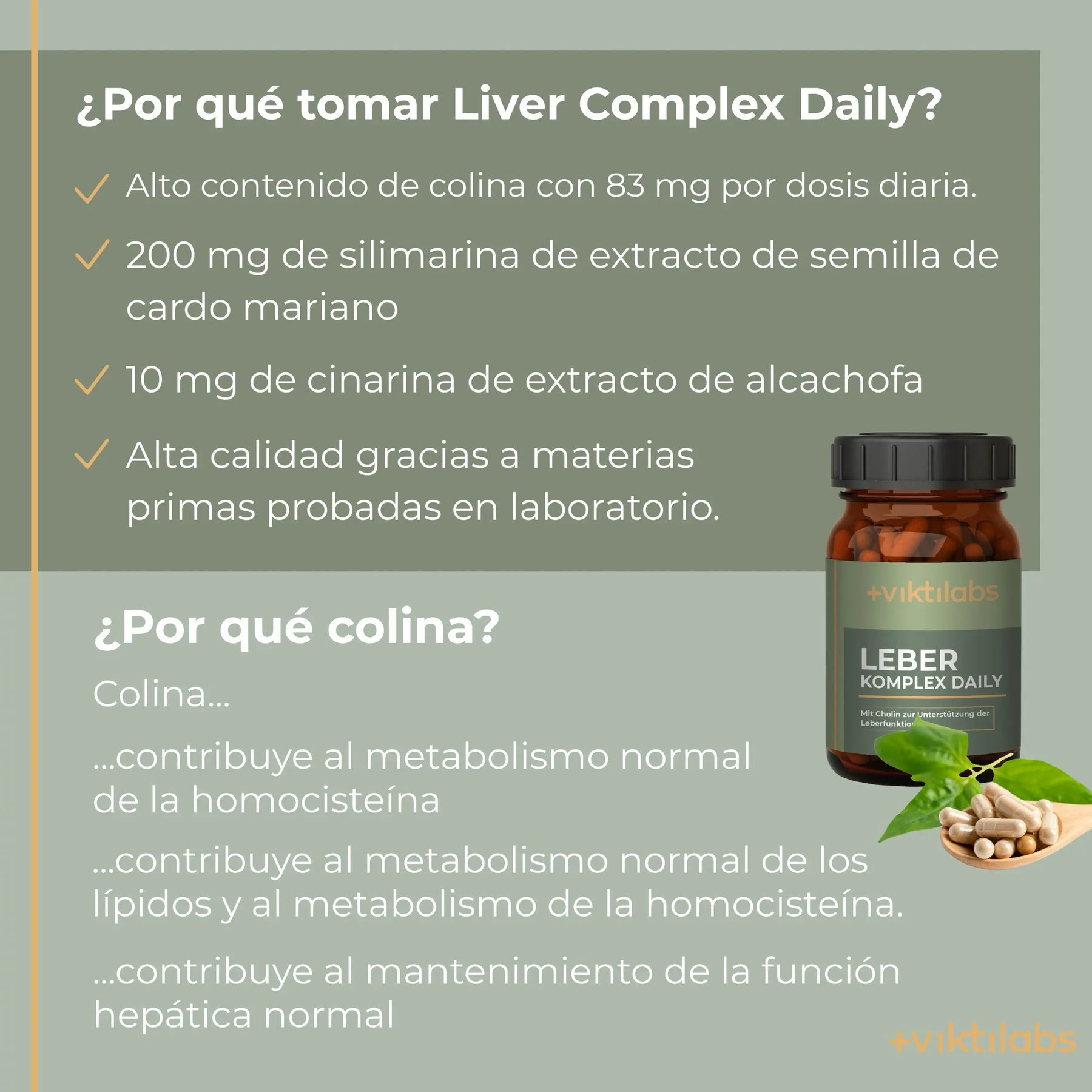 viktilabs-leber-komplex-infografik-por-que-nuestro-producto [lang-es]