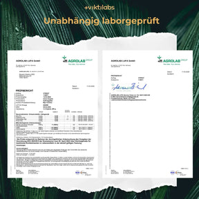 viktilabs-myo-inositol-zertifikat-1 [lang-de]