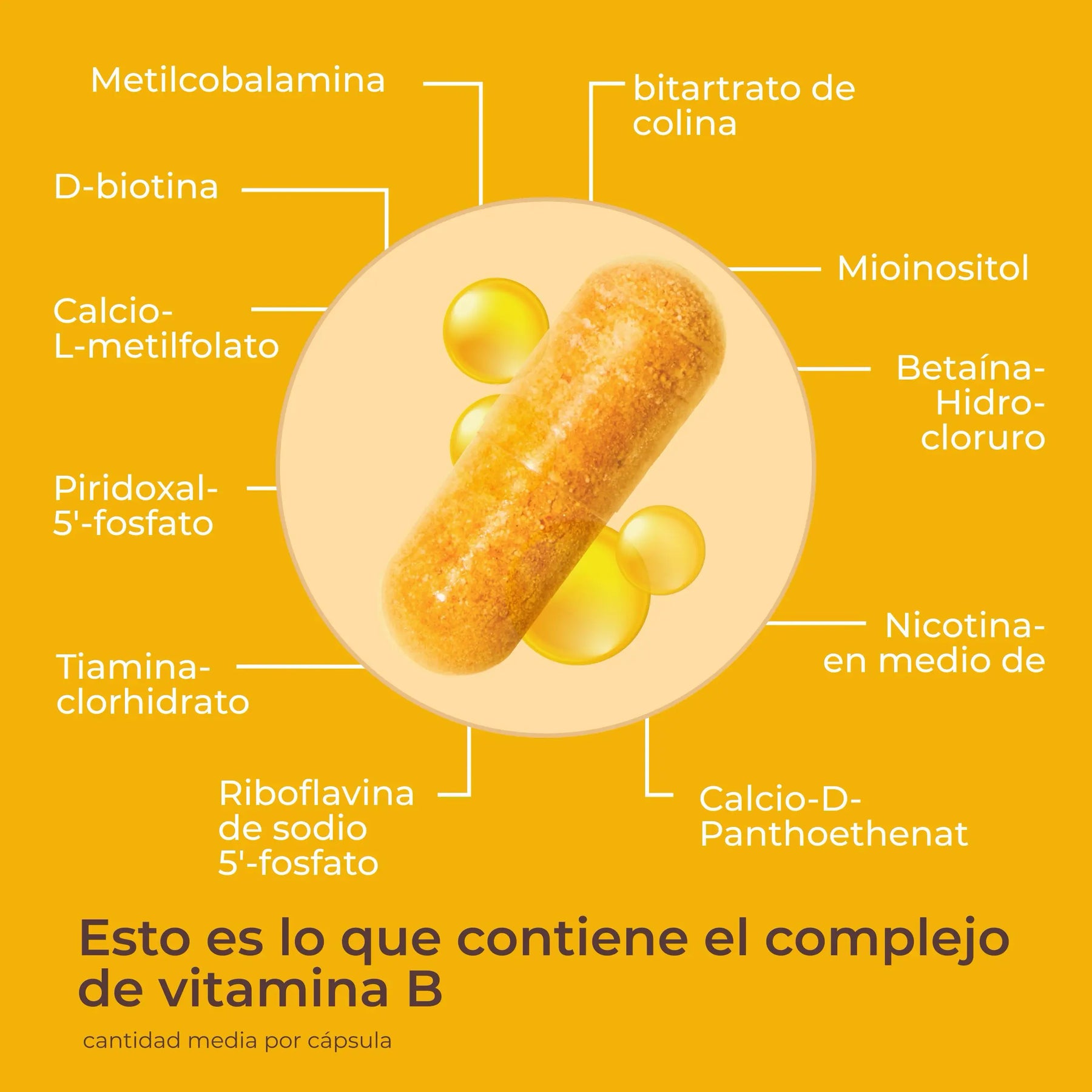viktilabs-vitamin-b-komplex-forte-infografik-ingredientes [lang-es]