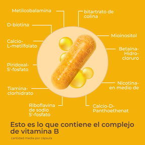 viktilabs-vitamin-b-komplex-forte-infografik-ingredientes [lang-es]