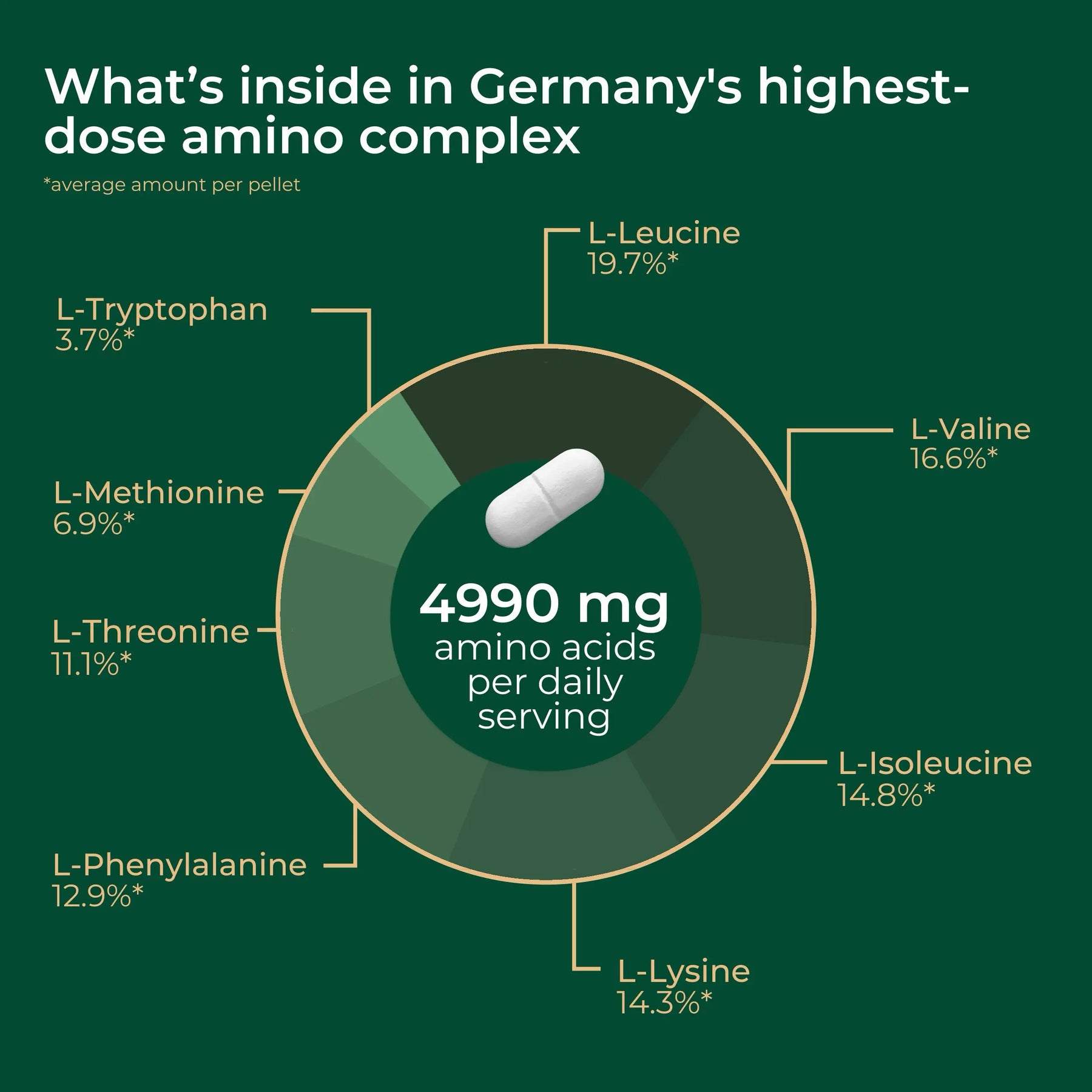 viktilabs-amino-8-infografik-ingredients [lang-en]