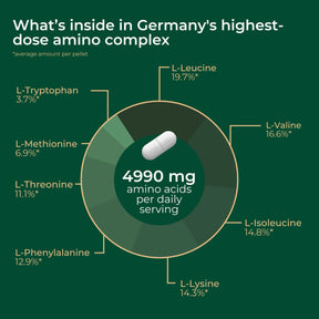viktilabs-amino-8-infografik-ingredients [lang-en]
