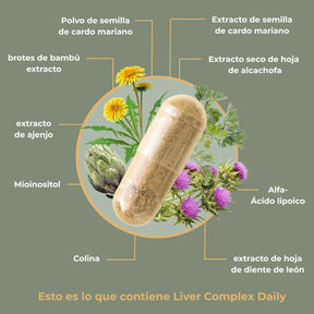 viktilabs-leber-komplex-infografik-ingredientes [lang-es]