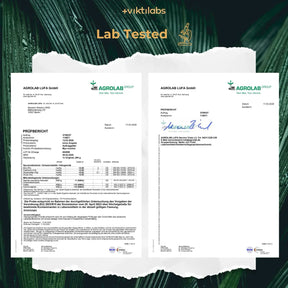 viktilabs-myo-inositol-zertifikat-1 [lang-en]