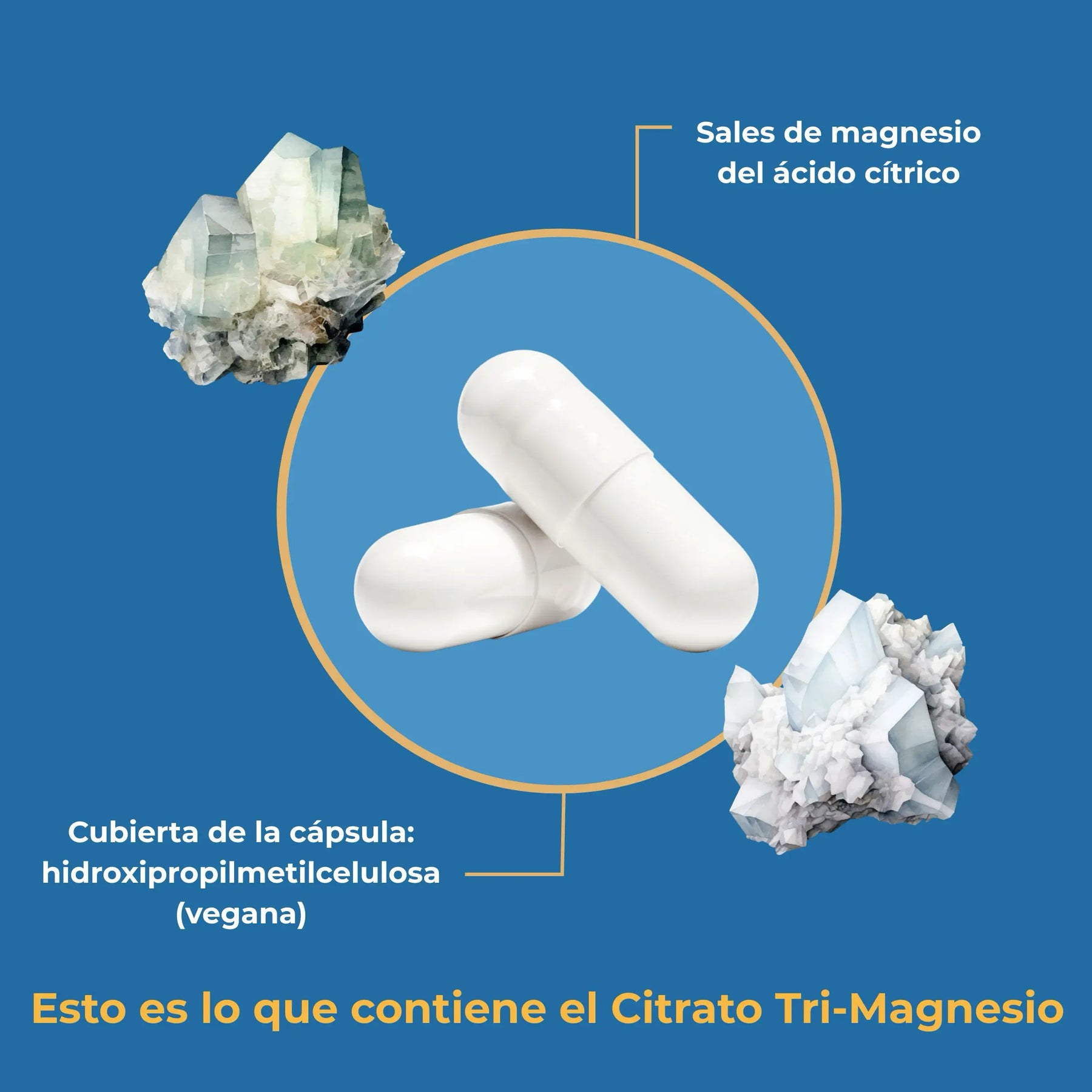 viktilabs-tri-magnesium-dicitrat-infografik-ingredientes [lang-es]