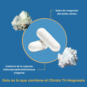 viktilabs-tri-magnesium-dicitrat-infografik-ingredientes [lang-es]