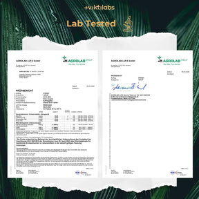 viktilabs-vitamin-b12-zertifikat-1 [lang-en]