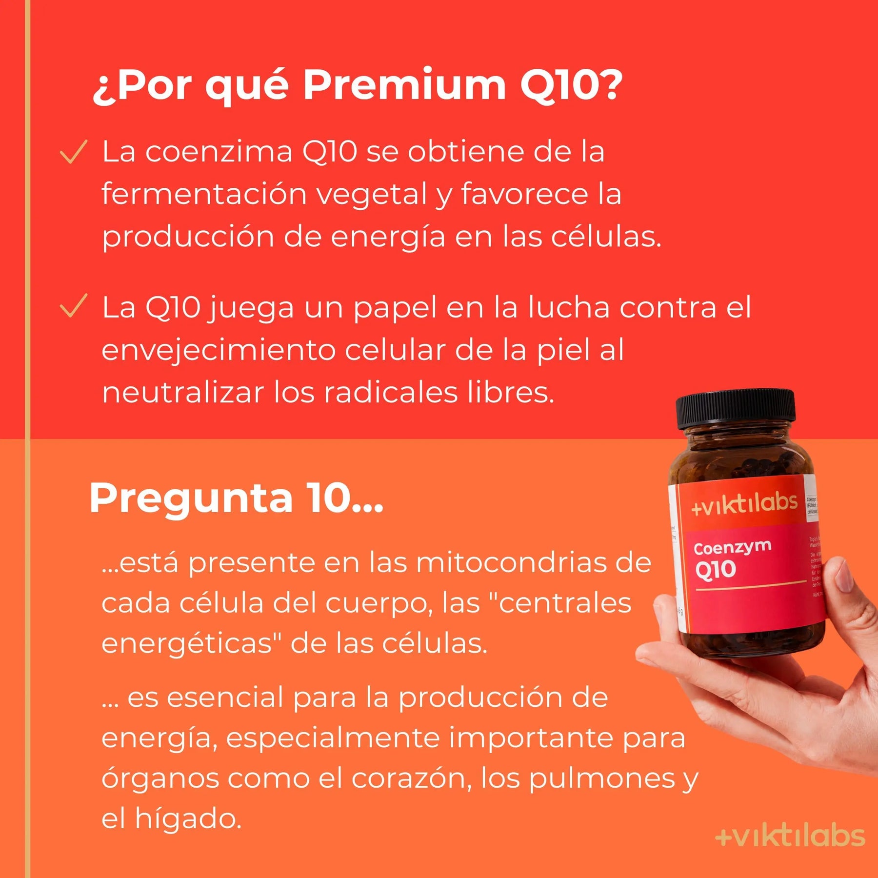 viktilabs-coenzym-q10-infografik-por-que-nuestro-producto [lang-es]