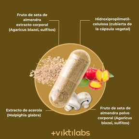 viktilabs-mandelpilz-infografik-ingredientes [lang-es]