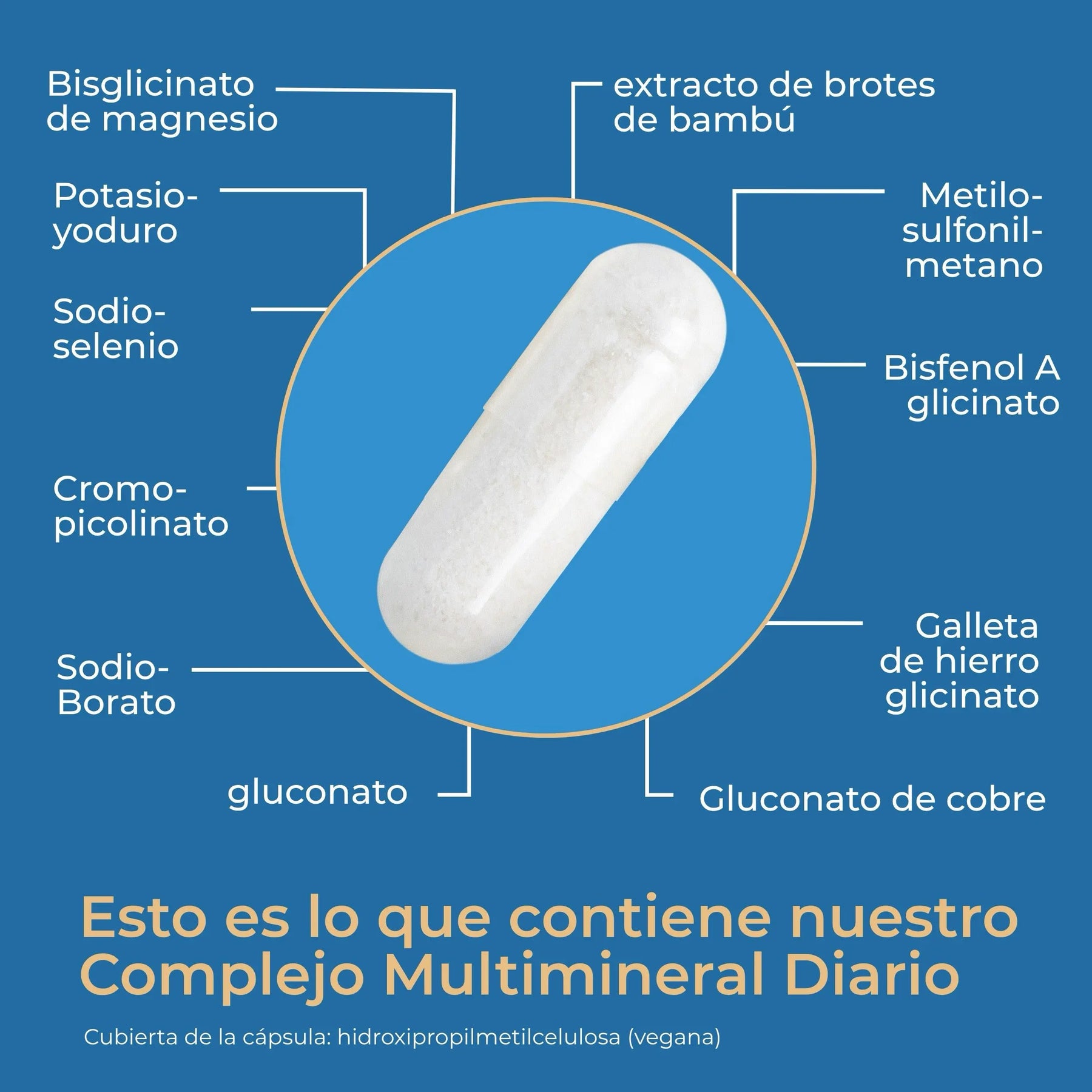 viktilabs-multimineral-komplex-infografik-ingredientes [lang-es]