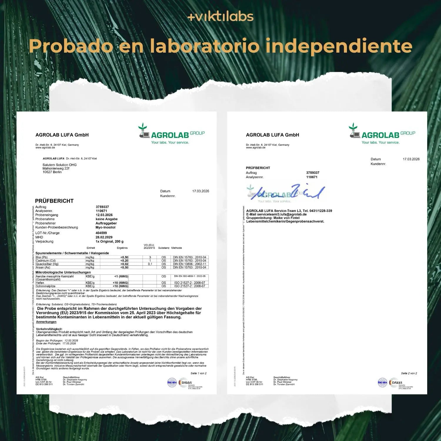 viktilabs-myo-inositol-zertifikat-1 [lang-es]