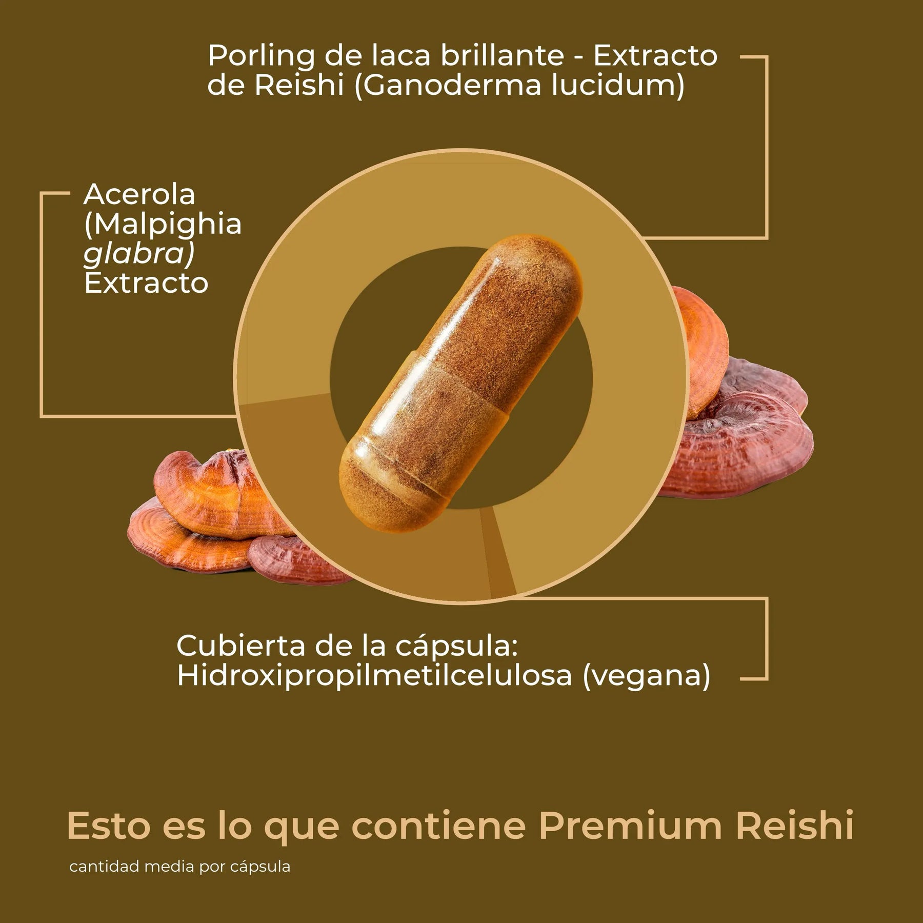 viktilabs-reishi-infografik-ingredientes [lang-es]