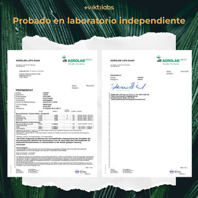 viktilabs-vitamin-b12-zertifikat-1 [lang-es]