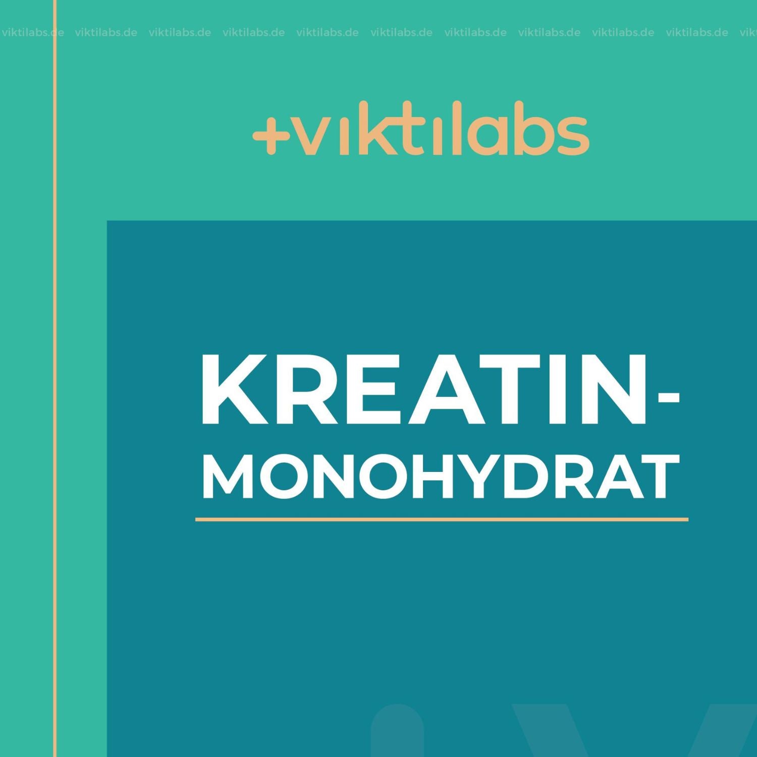ViktilabsKreatinMonohydrat1