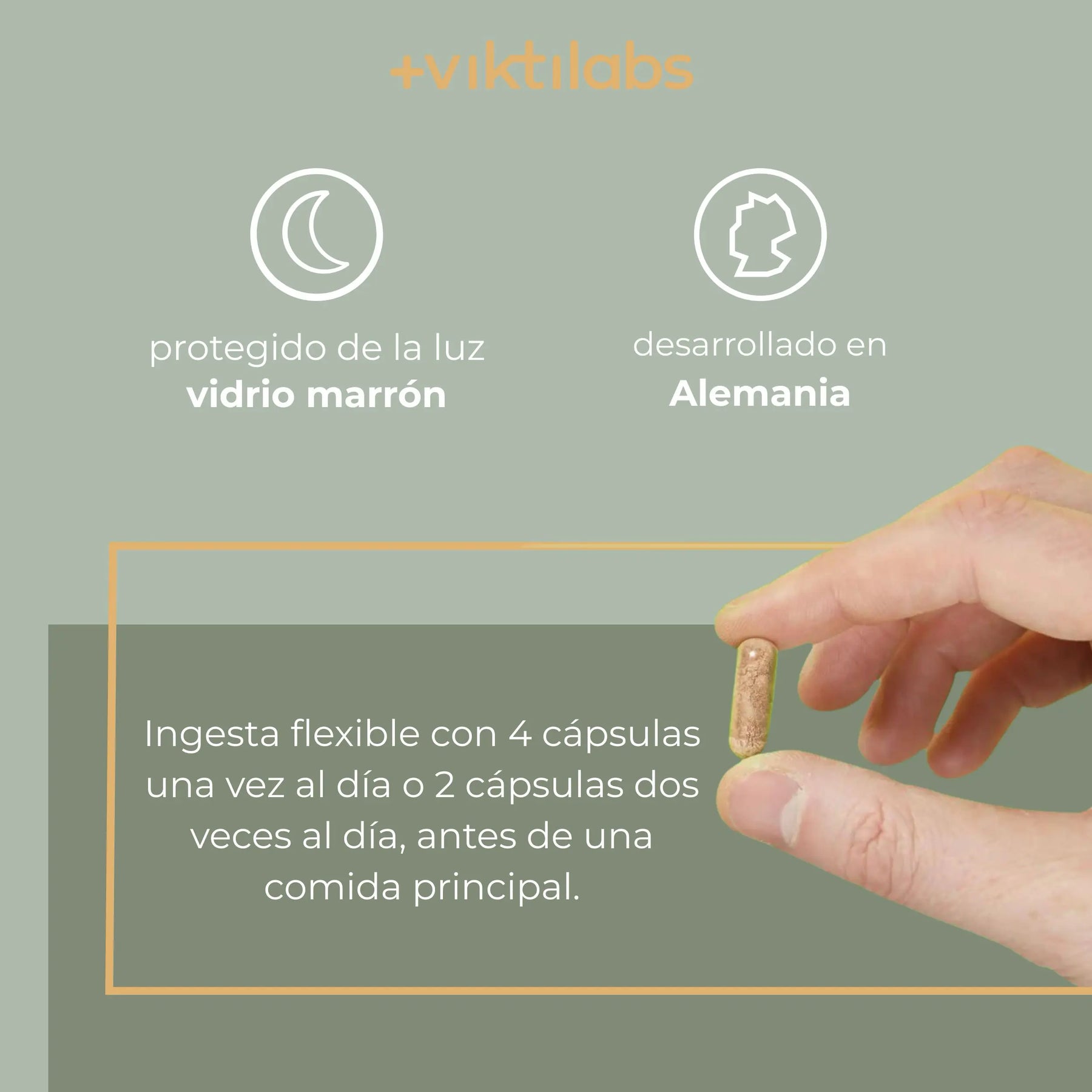 viktilabs-leber-komplex-infografik-uso del producto [lang-es]