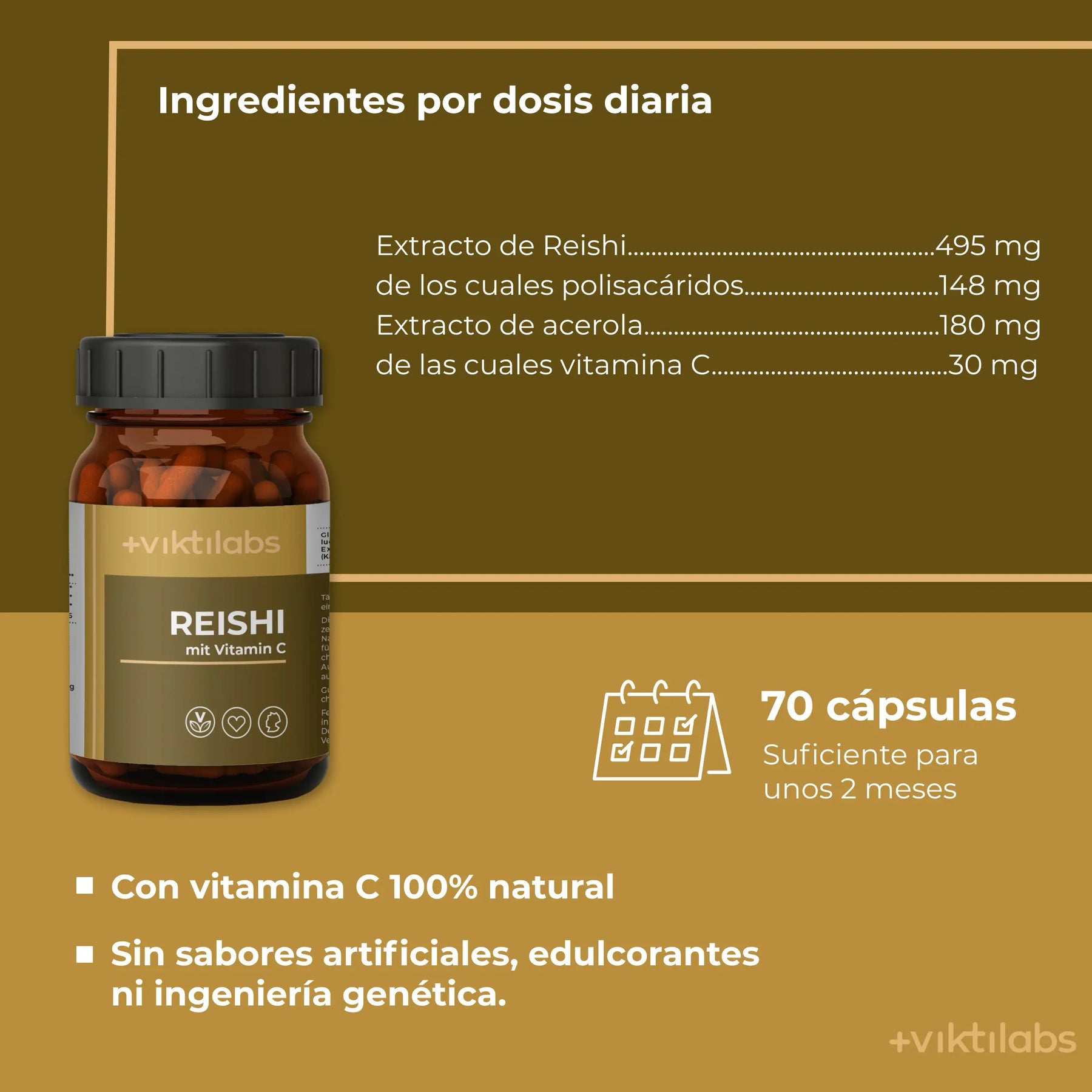 viktilabs-reishi-infografik-ingredientes-por-por porción [lang-es]