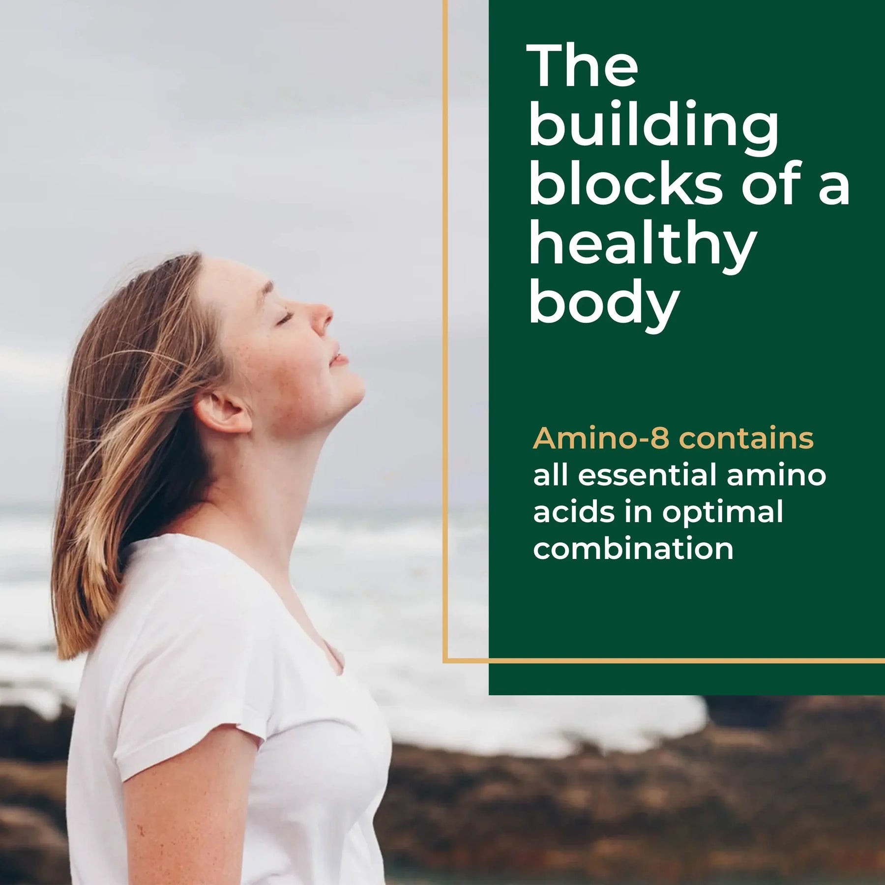 viktilabs-amino-8-infografik-usp-1 [lang-en]