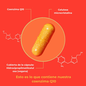 viktilabs-coenzym-q10-infografik-ingredientes [lang-es]