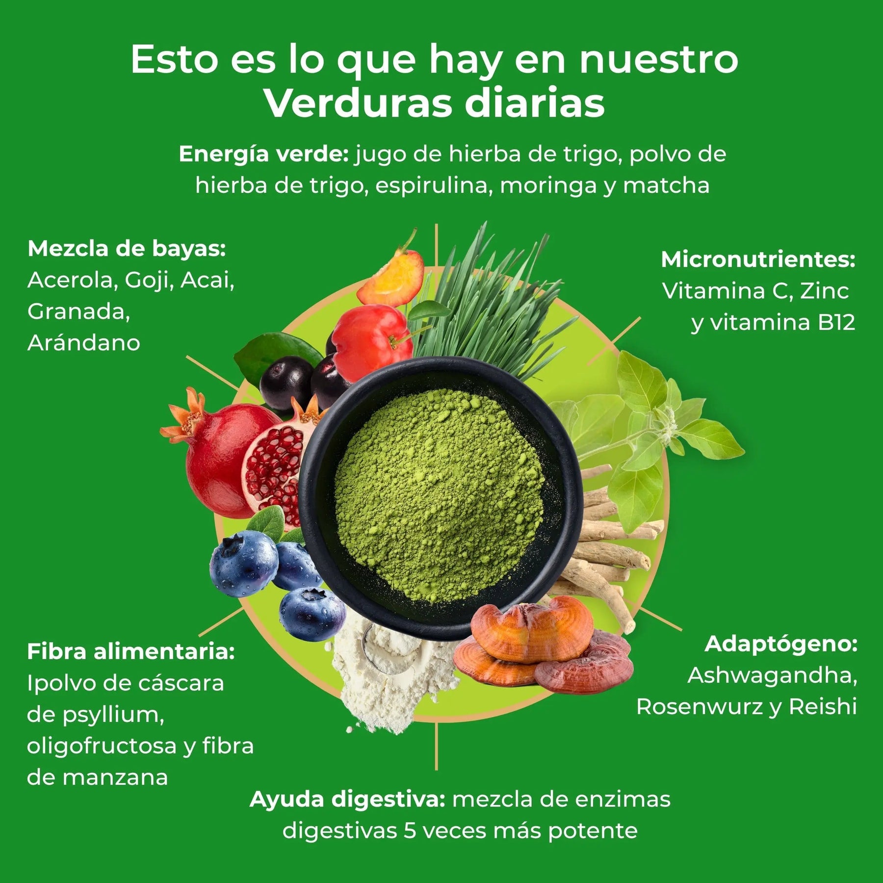 viktilabs-daily-greens-infografik-inhaltsstoffe [lang-es]
