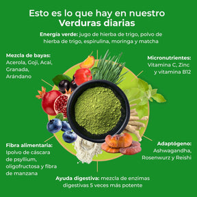 viktilabs-daily-greens-infografik-inhaltsstoffe [lang-es]