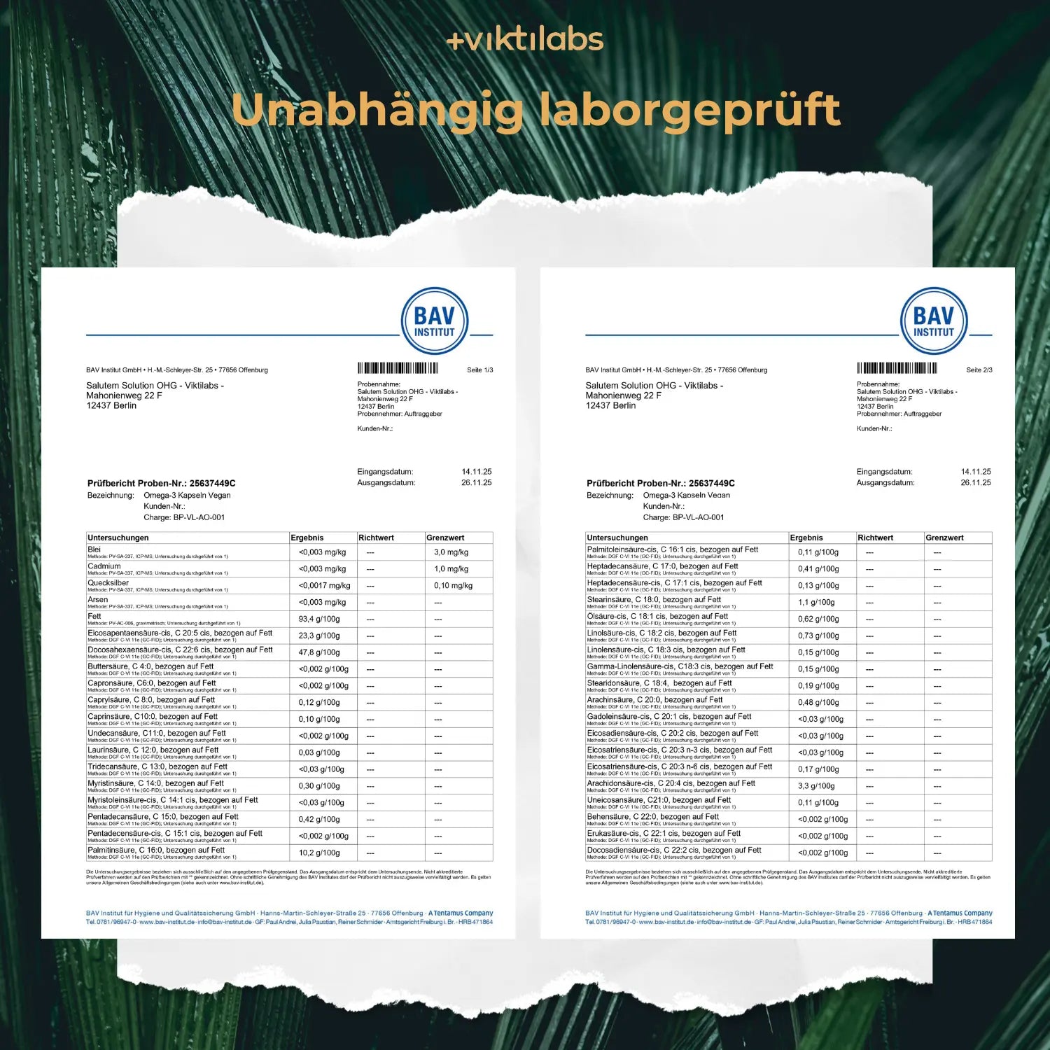 viktilabs-omega-3-v-kapseln-zertifikat-1 [lang-de]