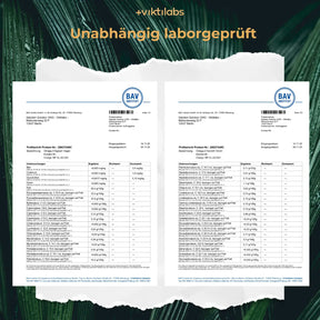 viktilabs-omega-3-v-kapseln-zertifikat-1 [lang-de]