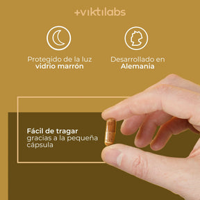 viktilabs-reishi-infografik-uso del producto [lang-es]