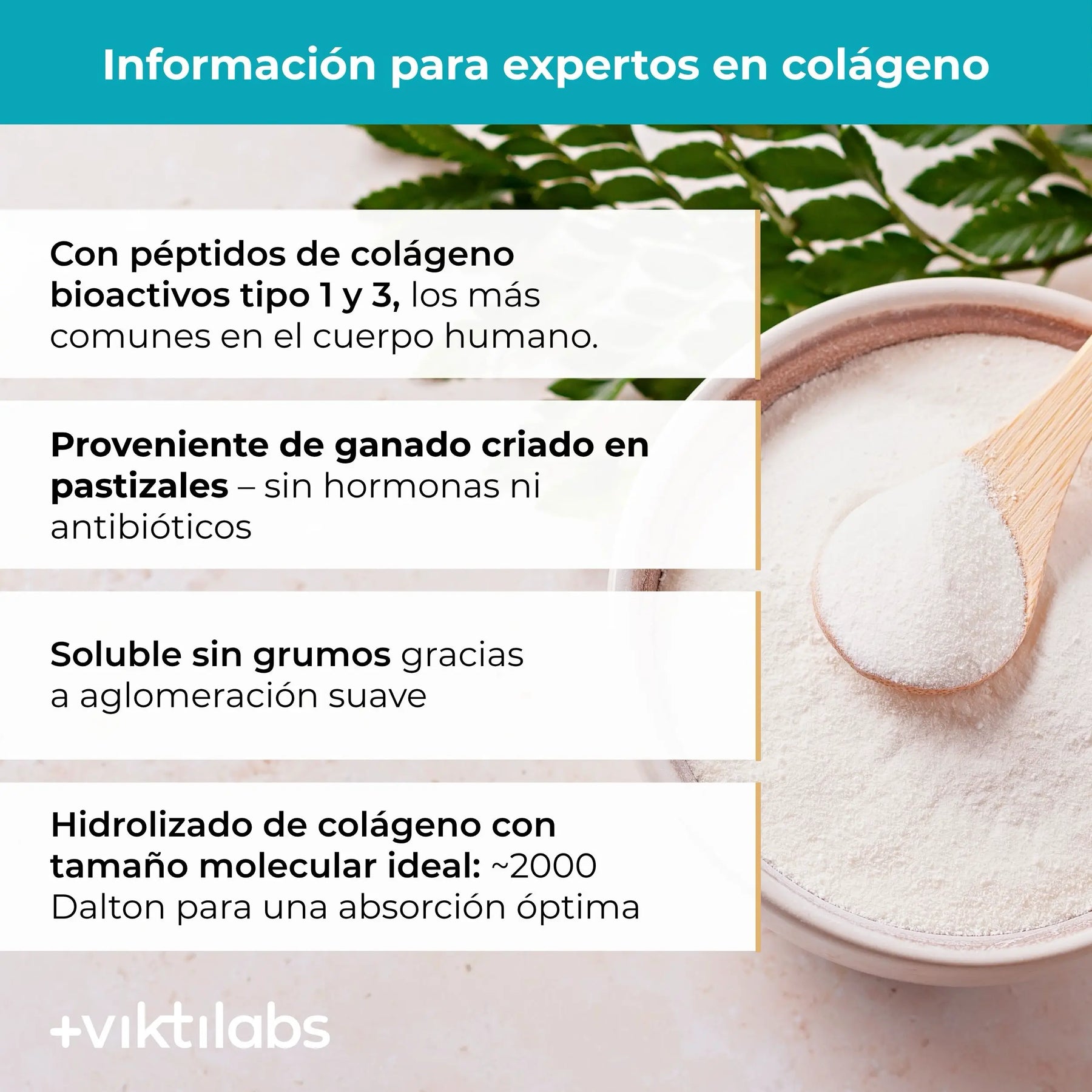 viktilabs-kollagen-infografik-informacion-adicional [lang-es]