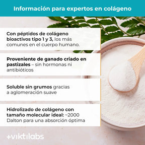 viktilabs-kollagen-infografik-informacion-adicional [lang-es]