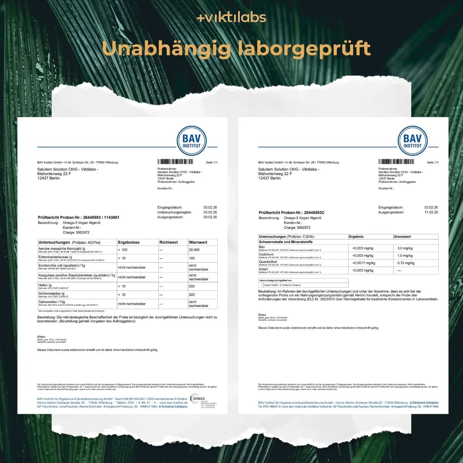 viktilabs-omega-3-vegan-zertifikat-1 [lang-de]