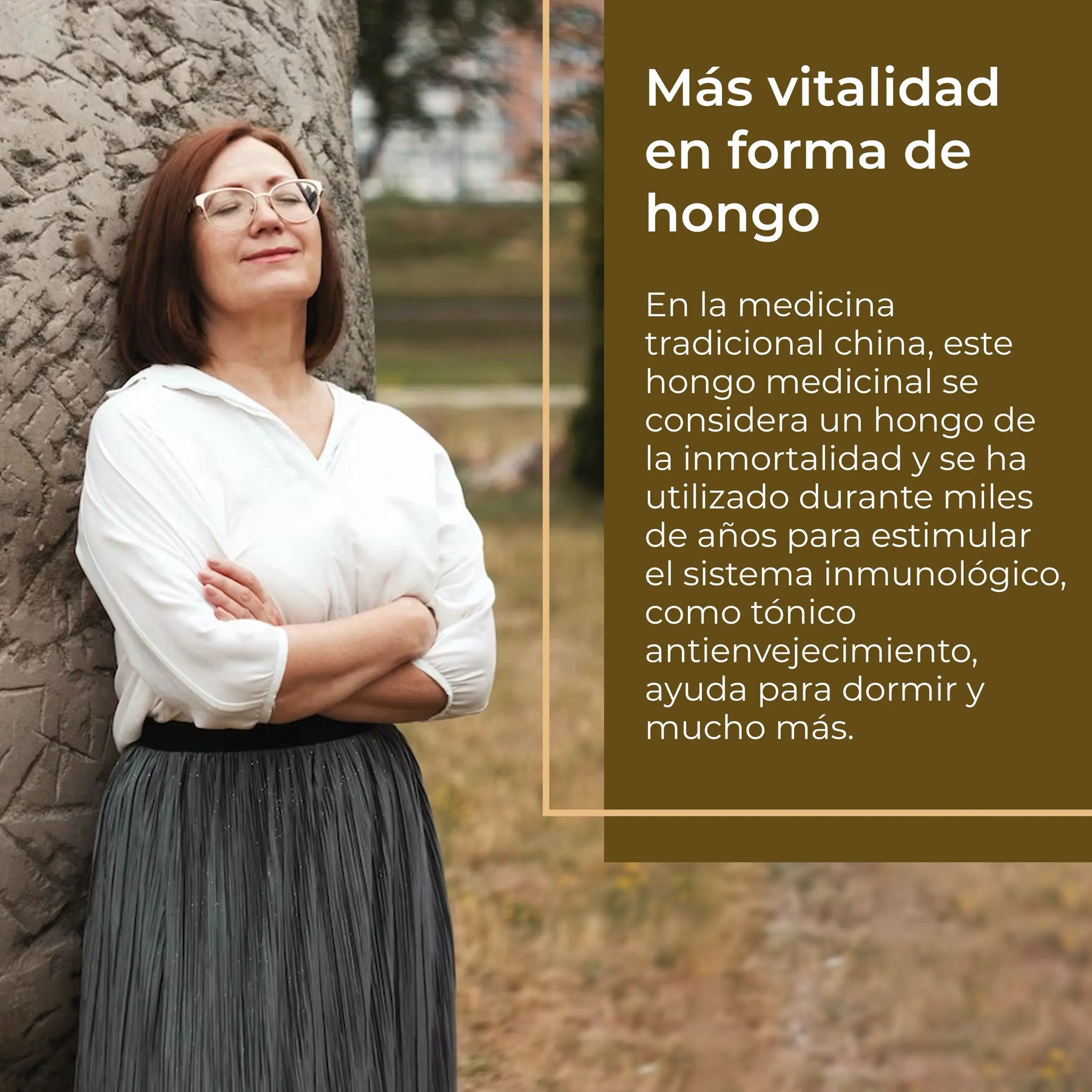 viktilabs-reishi-infografik-vitalitdad [lang-es]