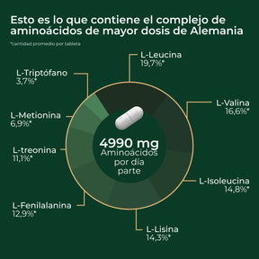 viktilabs-amino-8-infografik-ingredientes [lang-es]