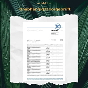 viktilabs-pureplant-zertifikat-1 [lang-de]