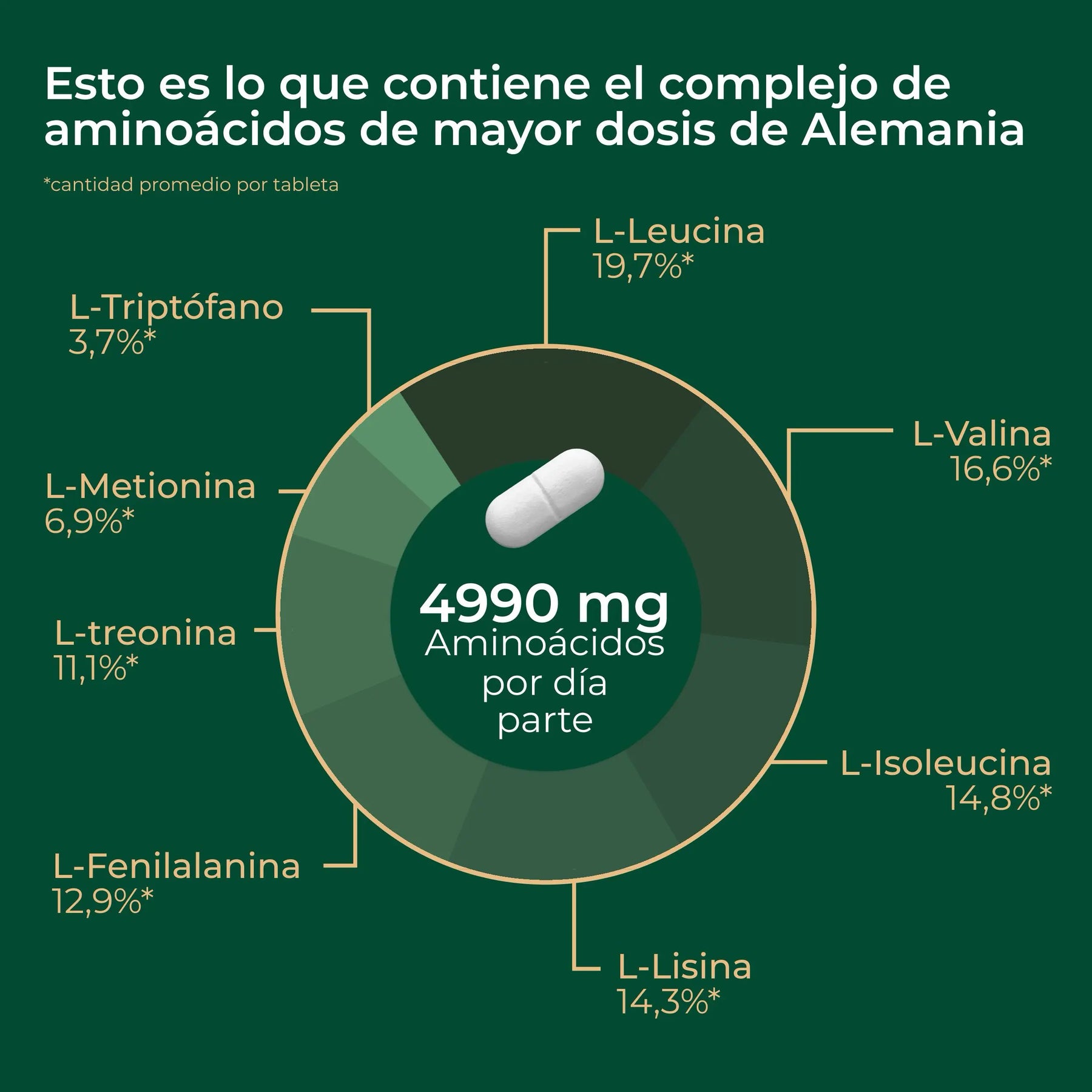 viktilabs-amino-8-infografik-ingredientes [lang-es]