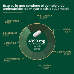 viktilabs-amino-8-infografik-ingredientes [lang-es]