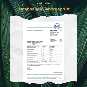 viktilabs-reishi-zertifikat-1 [lang-de]