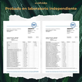 viktilabs-omega-3-v-kapseln-zertifikat-1 [lang-es]