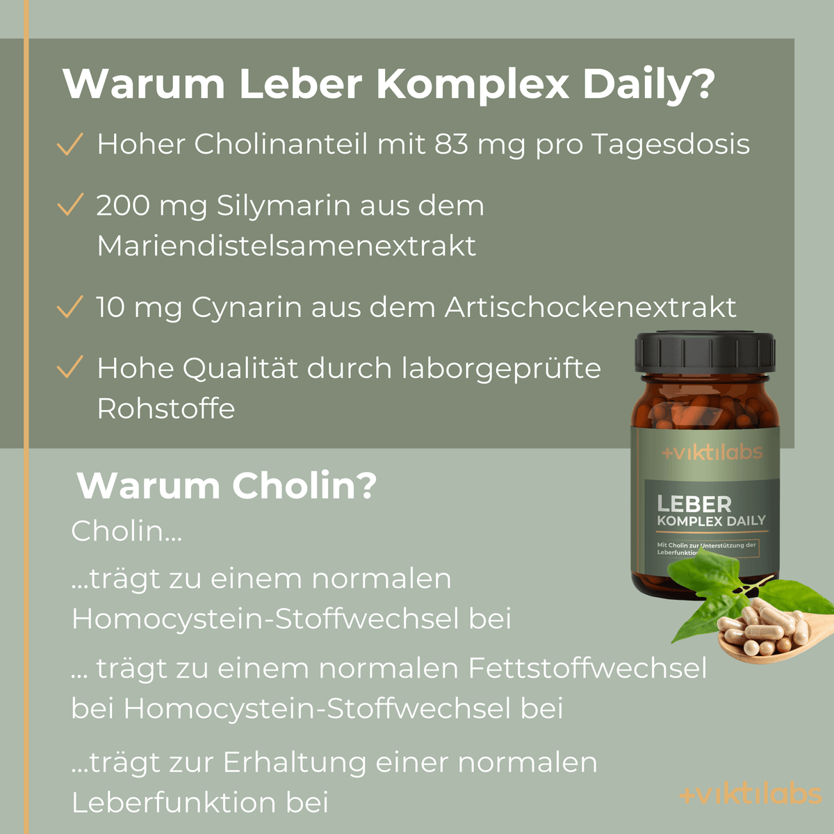 Leber Komplex Daily Info 2 [lang-de]
