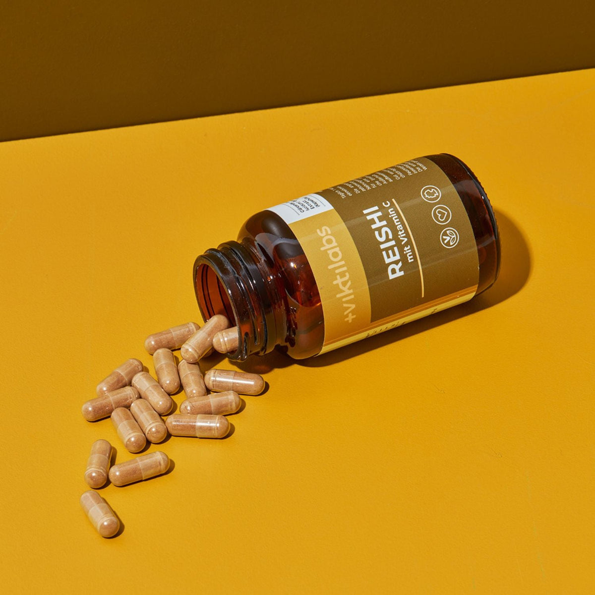 ViktilabsReishiExtrakt2