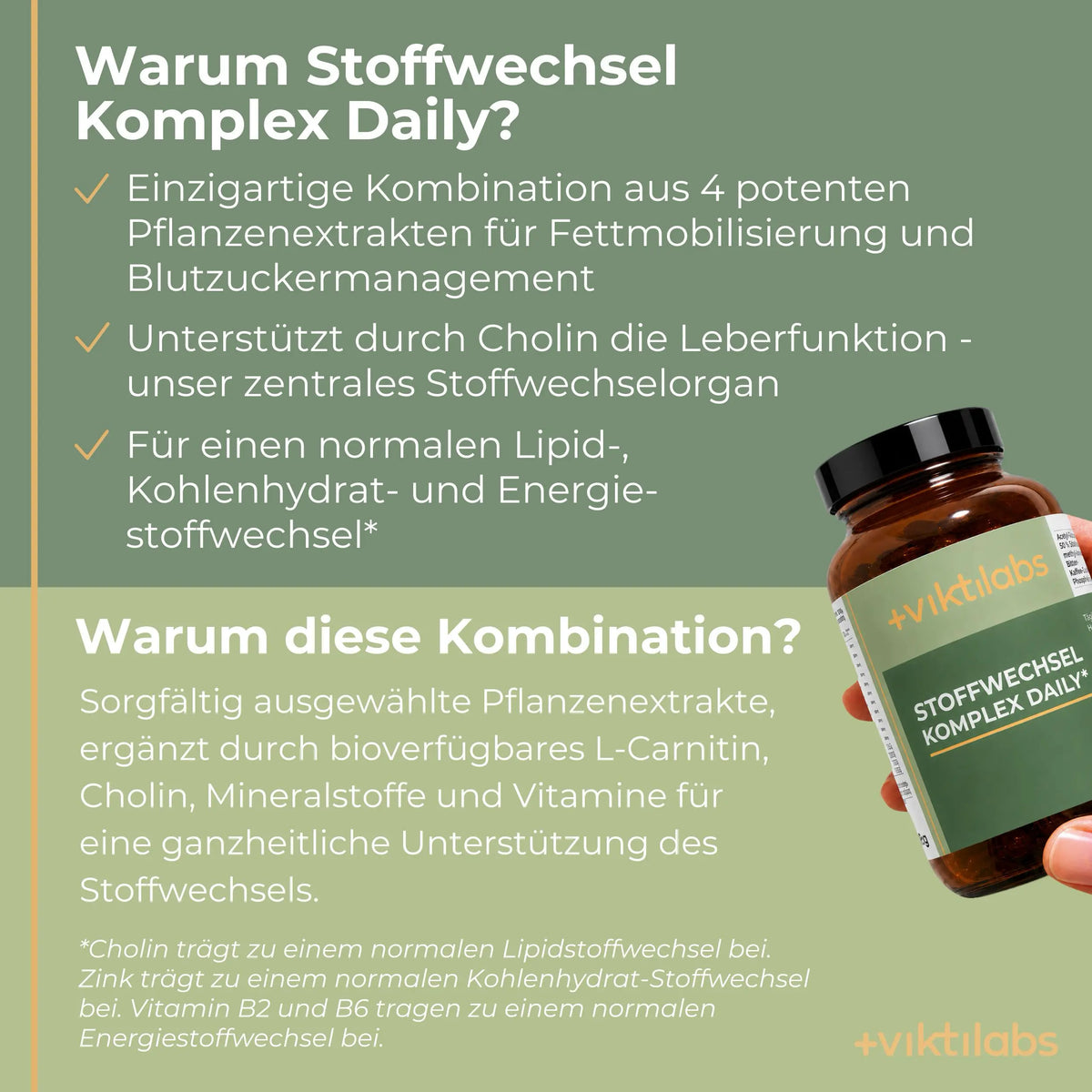 viktilab-stoffwechsel-komplex-infografik-warum-unser-produkt [lang-de]