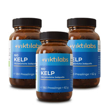 viktilabs-bio-kelp-3-non-perspective