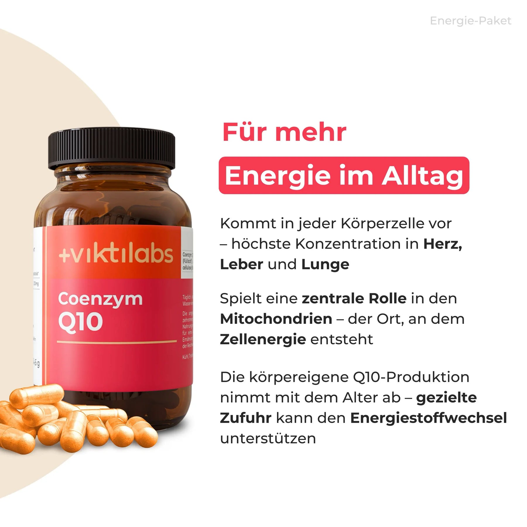 viktilabs-bundle-energie-paket-produkt-1 [lang-de]
