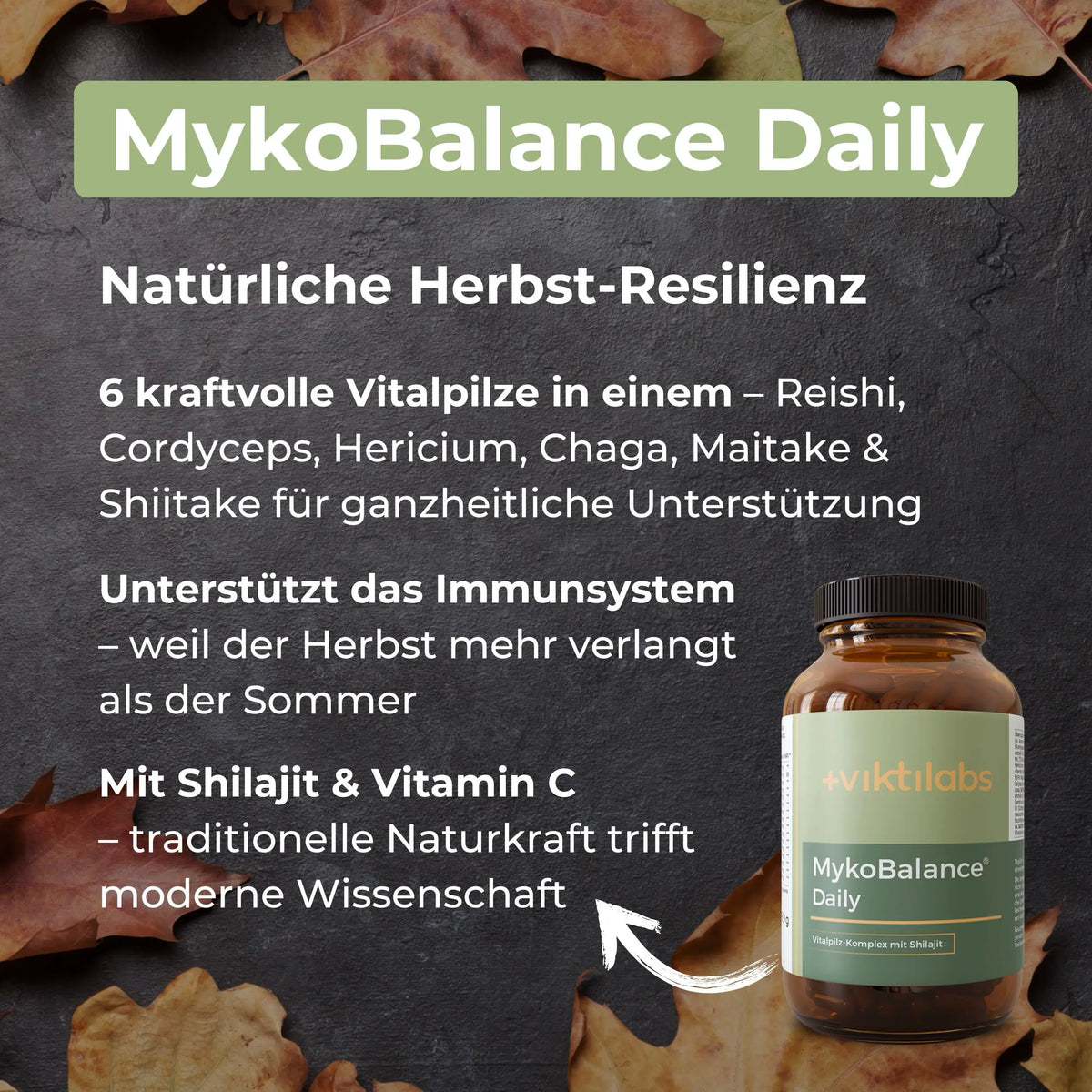 viktilabs-bundle-herbst-produkt-1 [lang-de]