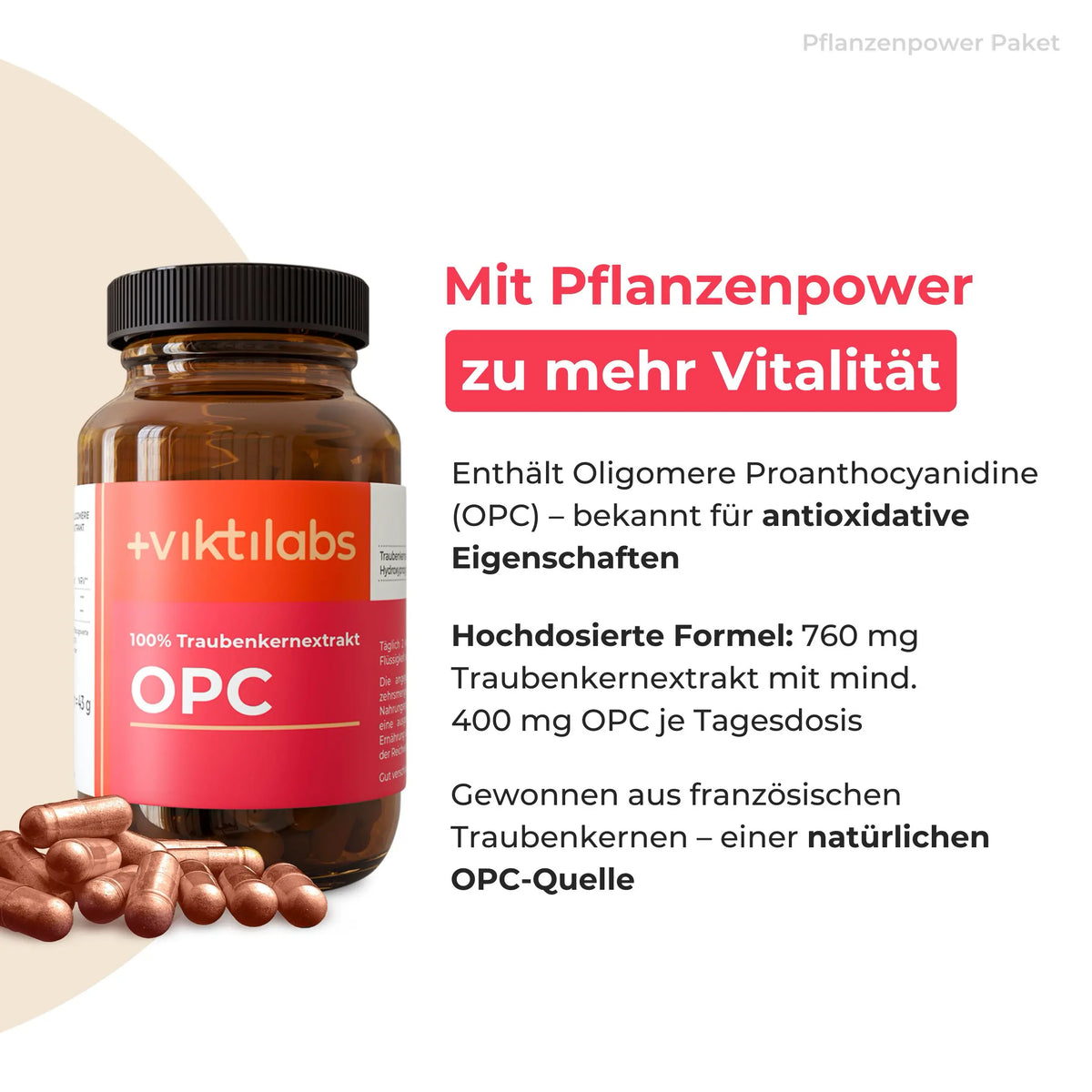 viktilabs-bundle-pflanzenpower-paket-produkt-1 [lang-de]