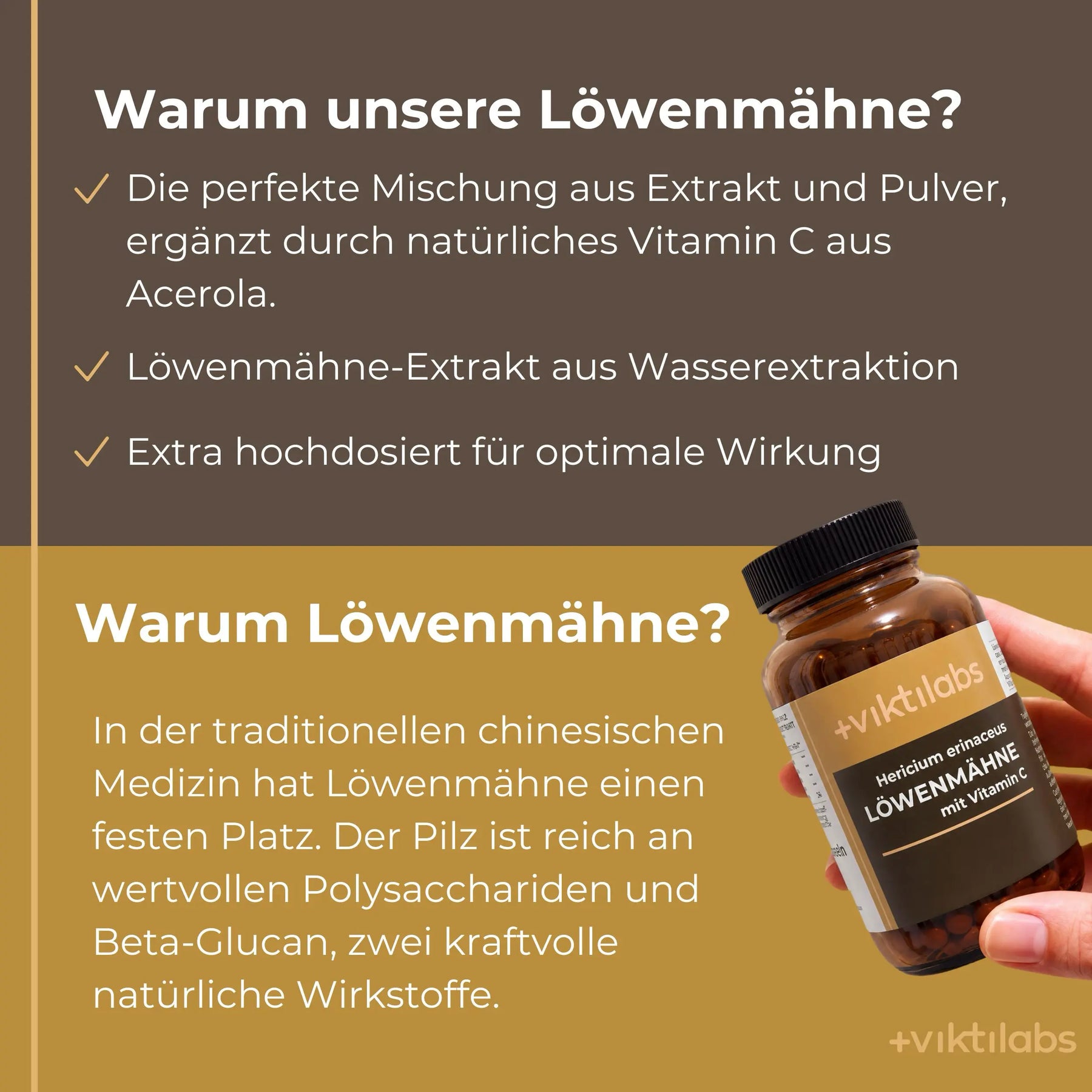 viktilabs-löwenmähne-infografik-warum-unser-produkt [lang-de]