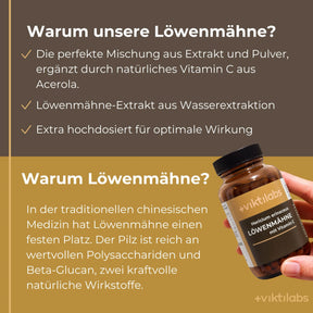 viktilabs-löwenmähne-infografik-warum-unser-produkt [lang-de]