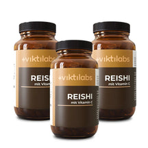 viktilabs-reishi-3-variantenbild