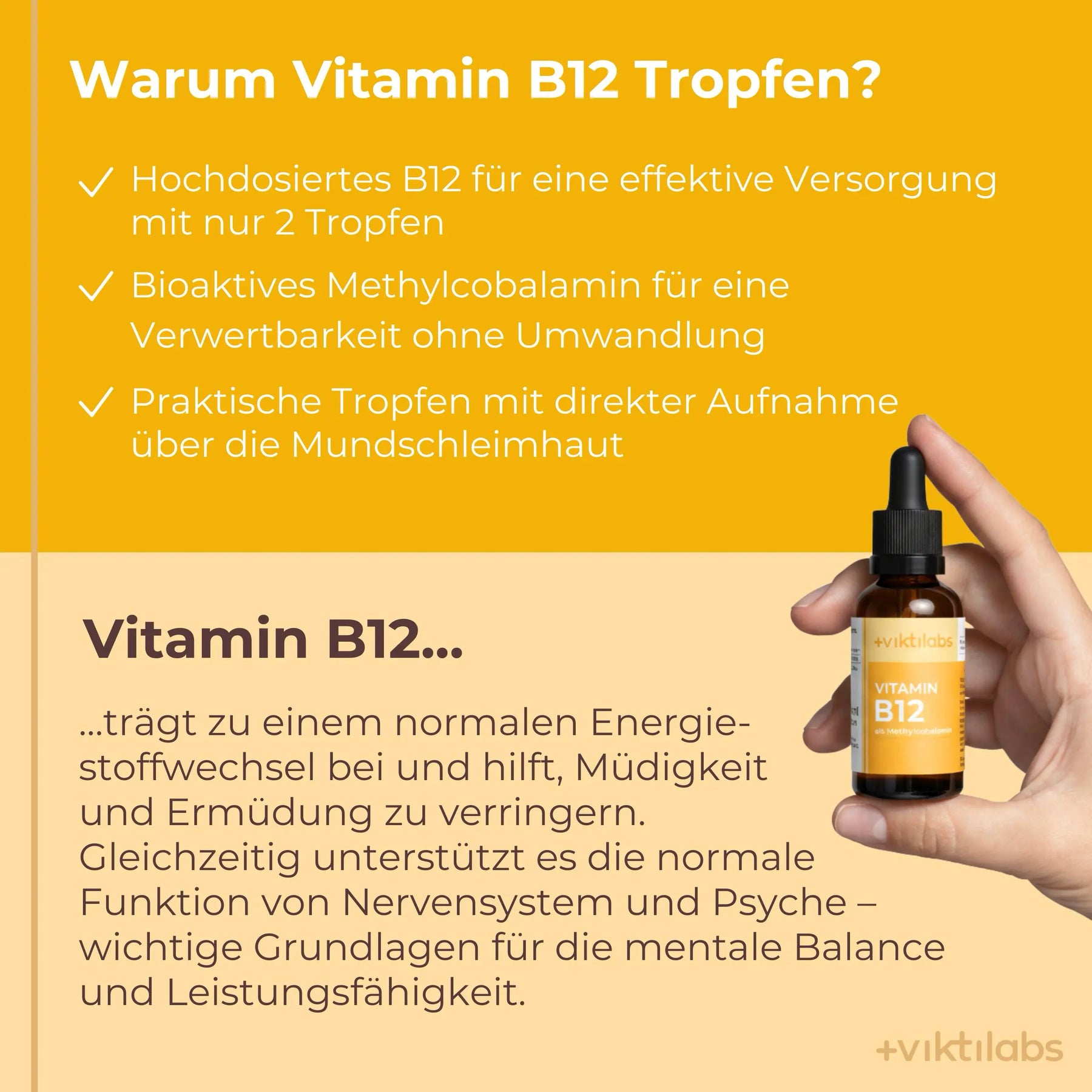 viktilabs-vitaminb12-infografik-warum-unser-produkt [lang-de]
