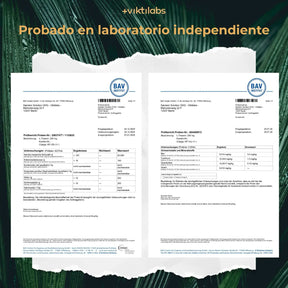 viktilabs-l-theanin-zertifikat-11 [lang-es]