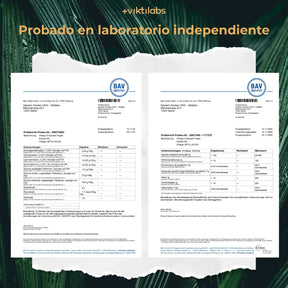 viktilabs-omega-3-v-kapseln-zertifikat-2 [lang-es]